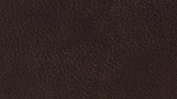 Ecksofa Koinor aus Leder in Dunkelbraun KOINOR Leder-Ecksofa Harriet dunkelbraunes Leder India Spider & Wildeiche – Stellfläche ca. 222 x 286 cm