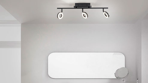 Strahler / Spot Paul neuhaus aus Metall in Anthrazit Paul Neuhaus Deckenstrahler Sileda anthrazitfarbenes Metall - Länge ca. 67 cm