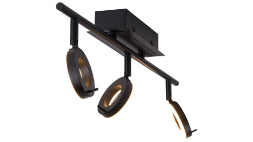 Strahler / Spot Paul neuhaus aus Metall in Anthrazit Paul Neuhaus Deckenstrahler Sileda anthrazitfarbenes Metall - Länge ca. 67 cm