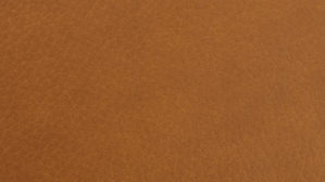 Ecksofa Steinpol polsteria aus Leder in Gelb Polsterprogramm Relaxa 6.0 Plus PSG XC - Ecksofa senffarbener LongLife-Leder Punch - Stellfläche ca. 270 x 239 cm