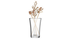Vase Leonardo | glaskoch aus Glas in Transparent LEONARDO Vase Bloom Klarglas – Höhe ca. 22 cm