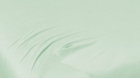 Spannbettlaken H. g. hahn haustextilien® aus Stoff in Hellgrün PRIMERA Spannbettlaken eukalyptusfarbener Baumwolljersey - ca. 100 x 200 cm