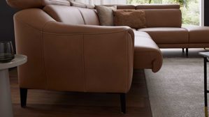 Funktion Interliving aus Metall in Transparent Interliving Sofa Serie 4461 - Sitzvorzug motorisch