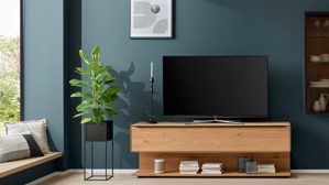 Lowboard Interliving aus Holz in Holzfarben Interliving Wohnzimmer Serie 2033 - Lowboard Asteiche - eine Klapptür, Länge ca. 182 cm