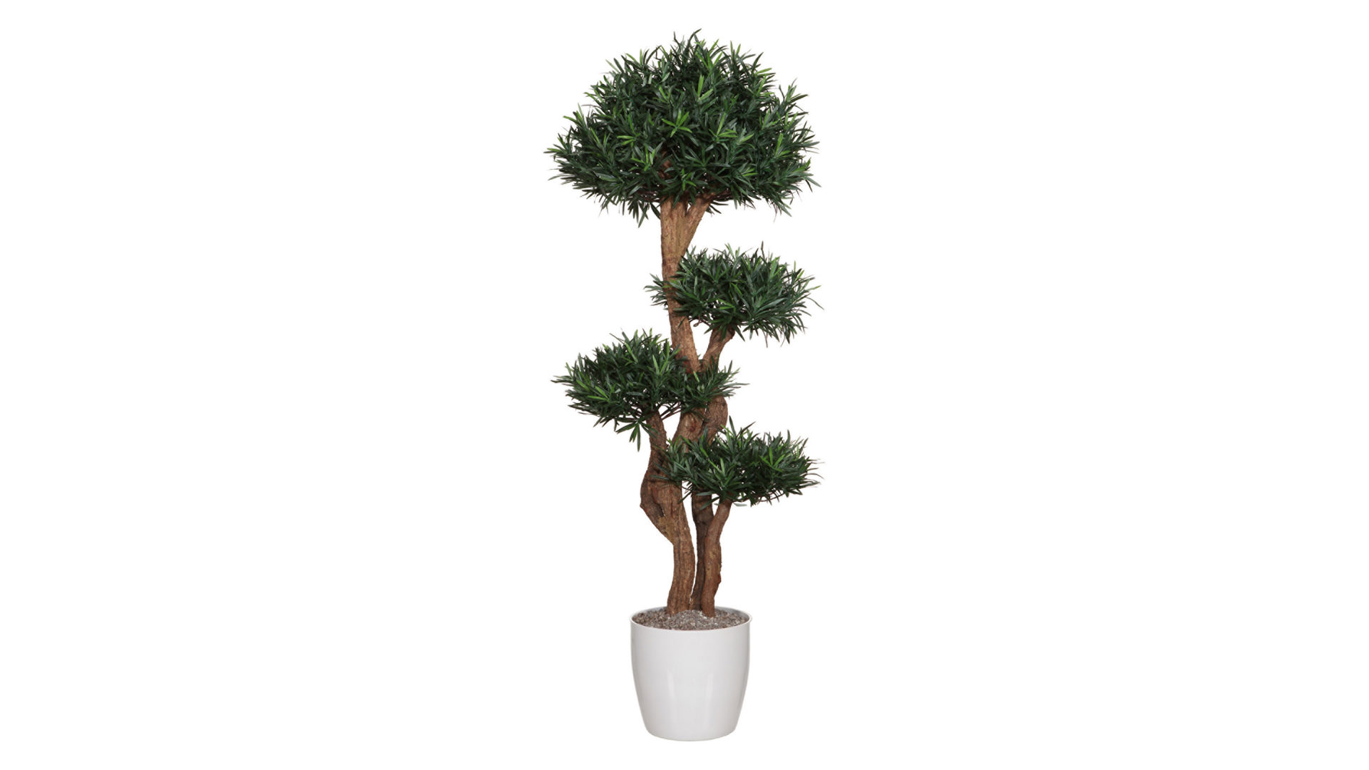 Pflanze Gasper aus Kunststoff in Dunkelgrün Podocarpusbaum künstliche Grünpflanze - ca. 120 cm hoch