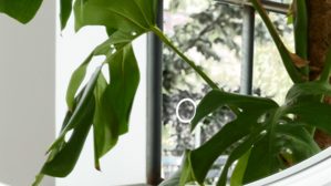 Wandspiegel Interliving aus Spiegel in Transparent Interliving Bad Serie 7340 – Wandspiegel Durchmesser ca. 100 cm